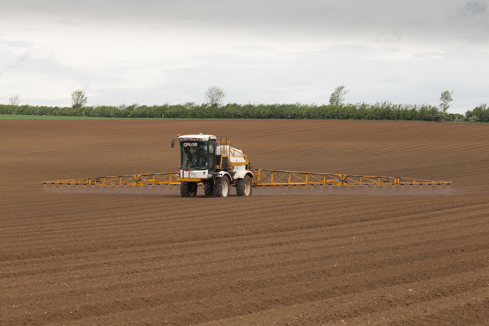 Post emergence spraying potatoes