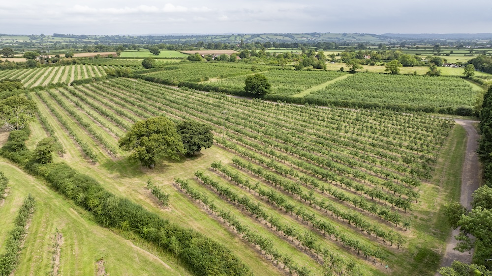 south west farmland for sale